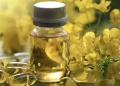 Health Canadá aprueba un nuevo aceite omega-3 de canola para su uso en suplementos dietéticos